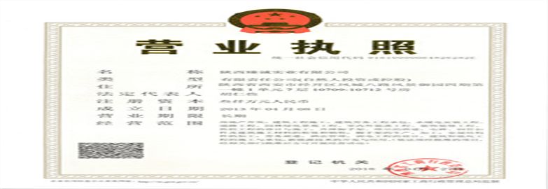 陜西臻誠實業(yè)集團(tuán)有限公司營業(yè)執(zhí)照