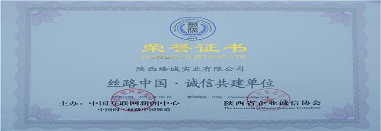 陜西臻誠實業(yè)集團(tuán)有限公司榮譽(yù)證書