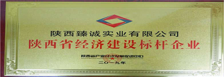 陜西臻誠實業(yè)集團(tuán)有限公司五星級誠信單位