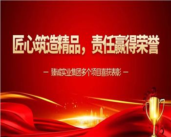 臻誠榮譽(yù)|臻誠實(shí)業(yè)集團(tuán)多個(gè)項(xiàng)目喜獲表彰
